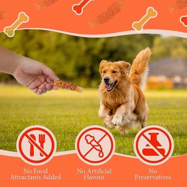 819CXiR9fuL._AC_SX679_